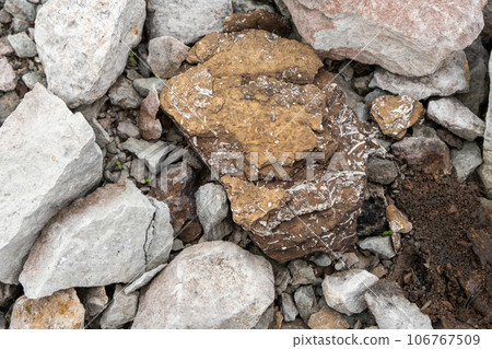 Oil shale stone, background. Sedimentary rocks rich in kerogen. The shale mining site, Aidu quarry in Estonia 106767509