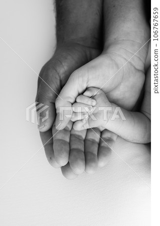 Three palms of a happy family. Small newborn hand with tiny fingers. The palm of parents, father and mother holds the handle of a newborn. Studio macro shot, black and white photo. Three palms of a happy family. Small newborn hand with tiny fingers. The palm of parents, father and mother holds the handle of a newborn. Studio macro shot, black and white photo. 106767659