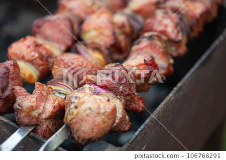 Outdoor picnic with grilling fresh meat shish kebab (shashlik) on a steel skewers on a grill wood coal. BBQ on summer picnic in green garden 106768291