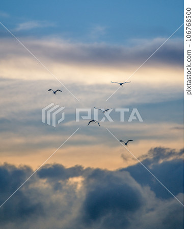 Sora in Hinuma at dusk 106768500