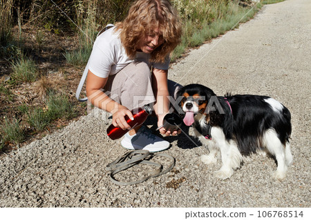 The girl pours water from a thermos for a dog on a walk. 106768514