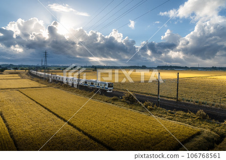 Mito City, Ibaraki Prefecture, Joban Line passing through autumn rice fields Mito City, Ibaraki Prefecture, Joban Line passing through autumn rice fields 106768561
