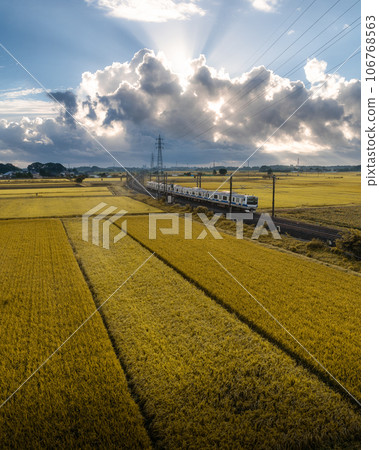 Mito City, Ibaraki Prefecture, Joban Line passing through autumn rice fields Mito City, Ibaraki Prefecture, Joban Line passing through autumn rice fields 106768563