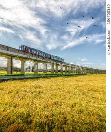 Oarai Kashima Line runs through the golden fields of Hitachinaka City, Ibaraki Prefecture 106768580