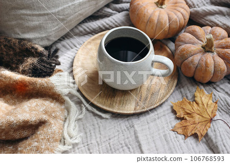 Fall feminine styled composition. Autumn breakfast still life. Cozy Halloween, Thanksgiving scene with cup of coffee, wool blanket, maple leaf and pumpkins. Grey muslin table cloth background. Flatlay 106768593
