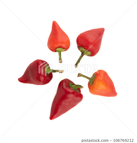 Top view of several pods of hot red pepper isolated on a white background. 106769212