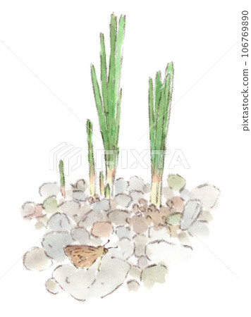 秋季植物、穆斯卡里芽和山艾樹的水彩插圖 秋季植物、穆斯卡里芽和山艾樹的水彩插圖 106769890