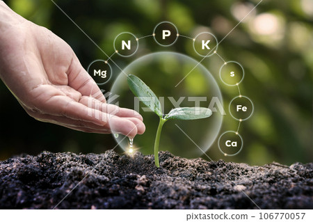 Plants grow on soil with the concept of plant fertilizers, plant nutrients, and necessary factors for plant growth and development process. Plants grow on soil with the concept of plant fertilizers, plant nutrients, and necessary factors for plant growth and development process. 106770057
