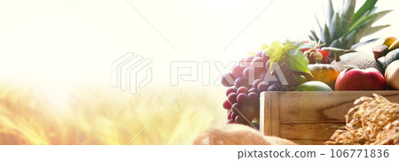 Rich Chuseok holiday and church Thanksgiving fruit decorations, various crops and vegetables, and harvest season ripe golden rice and barley fields farm autumn scenery, banner background Rich Chuseok holiday and church Thanksgiving fruit decorations, various crops and vegetables, and harvest season ripe golden rice and barley fields farm autumn scenery, banner background 106771836