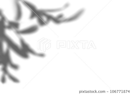 olive leaf shadow olive leaf shadow 106771874