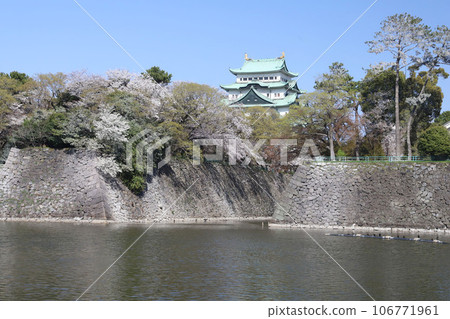 愛知縣佐倉市名城公園名古屋城 106771961