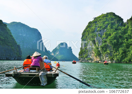 Vietnam Halong Bay 106772637