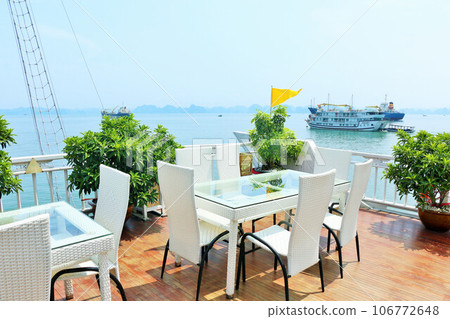 Vietnam, Halong Bay, from a cruise ship Vietnam, Halong Bay, from a cruise ship 106772648