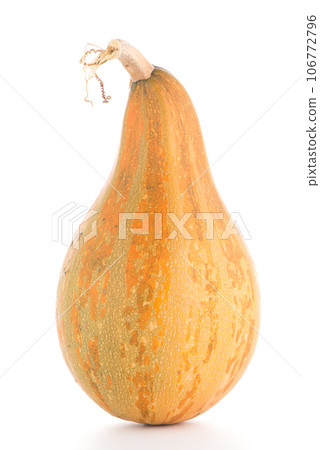 Pumpkin 106772796