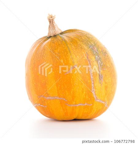 Pumpkin Pumpkin 106772798