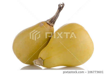 Yellow pumpkins 106773601