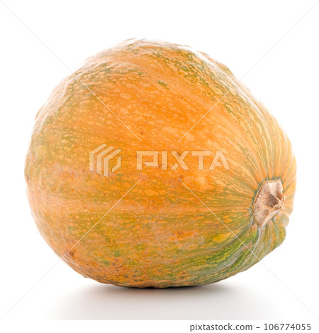 Pumpkin Pumpkin 106774055