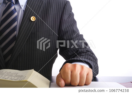 dignified male lawyer dignified male lawyer 106774238