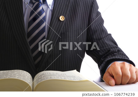 dignified male lawyer dignified male lawyer 106774239