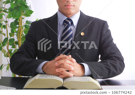 dignified male lawyer dignified male lawyer 106774242