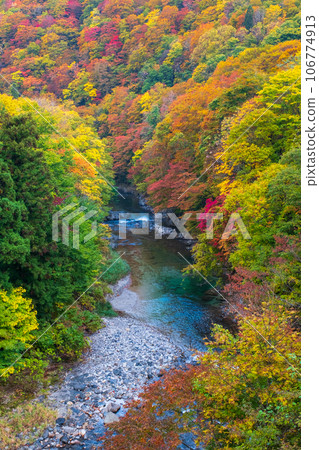 Oyasukyo (Autumn) 106774913