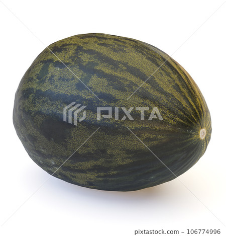 Santa Claus melon Christmas cantaloupe variety organic fruit food Santa Claus melon Christmas cantaloupe variety organic fruit food 106774996