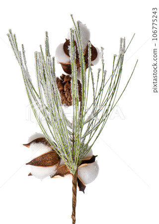 Christmas tree branch 106775243
