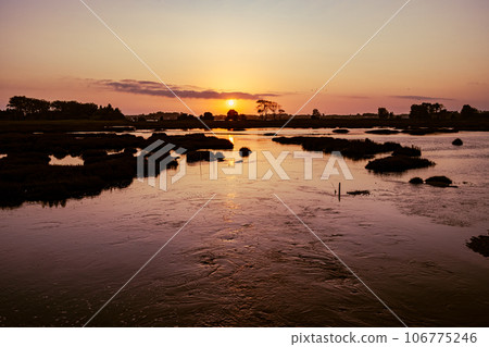 Moita's swamps in Ovar, Portugal 106775246