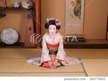 Kyoto Maiko image 106775601