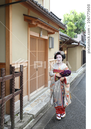 Kyoto Maiko image 106775608
