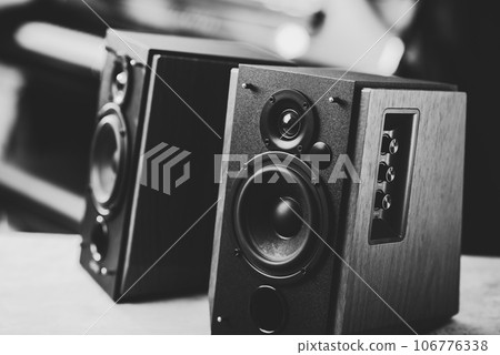 Bookshelf speaker, Home entertainment Bookshelf speaker, Home entertainment 106776338