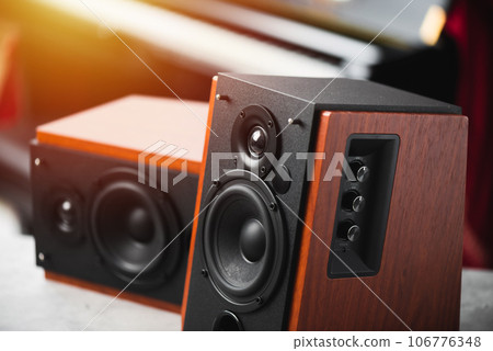 Bookshelf speaker, Home entertainment 106776348