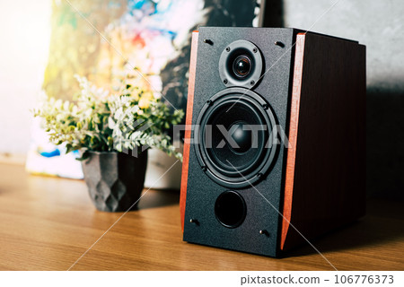 Bookshelf speaker, Home entertainment 106776373