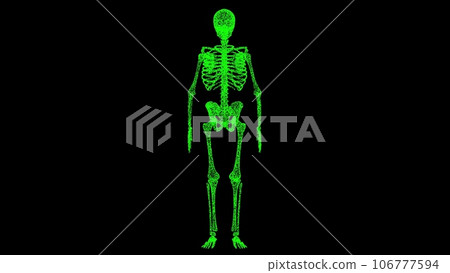 3D skeleton on black bg. Object dissolved green flickering particles. Business advertising backdrop. Science medical concept. For title, text, presentation. 3D animation. 3D skeleton on black bg. Object dissolved green flickering particles. Business advertising backdrop. Science medical concept. For title, text, presentation. 3D animation. 106777594