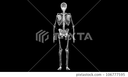 3D medical human anatomy. Object dissolved white flickering particles. Business advertising backdrop. Science medical concept. For title, text, presentation. 3D animation. 3D medical human anatomy. Object dissolved white flickering particles. Business advertising backdrop. Science medical concept. For title, text, presentation. 3D animation. 106777595