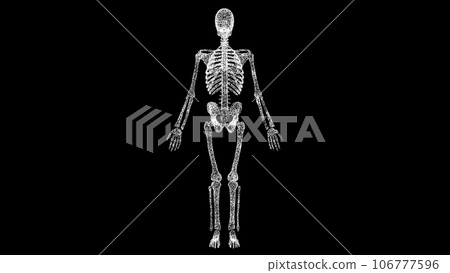 3D skeleton on black bg. Object dissolved white flickering particles. Business advertising backdrop. Science medical concept. For title, text, presentation. 3D animation. 3D skeleton on black bg. Object dissolved white flickering particles. Business advertising backdrop. Science medical concept. For title, text, presentation. 3D animation. 106777596