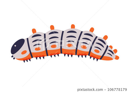 Bright Caterpillar as Larval Stage of Insect Crawling and Creeping Vector Illustration Bright Caterpillar as Larval Stage of Insect Crawling and Creeping Vector Illustration 106778179