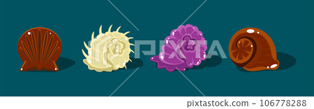 Sea Shells with Spiral Shape of Different Color Vector Set 106778288
