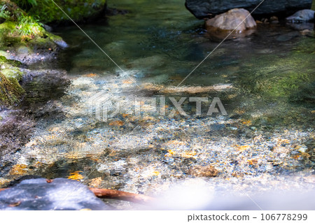 乾淨的溪流 106778299