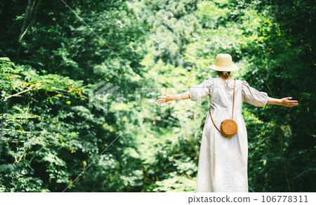森林 樹林 夏天 106778311