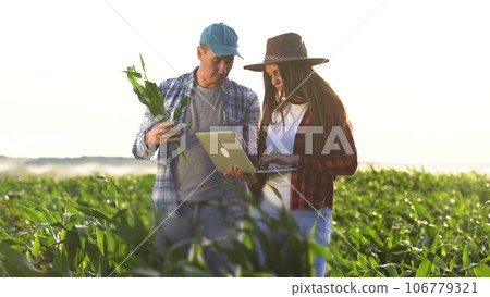 irrigation corn. two farmers work in a field with corn. agriculture irrigation concept. farmers a man and a woman work through a field with green business corn sprouts against irrigation installation 106779321