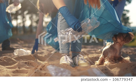 volunteers collect plastic in forest park. a large team a group of people family collects plastic bottles in cellophane lifestyle garbage bags. volunteering environmental pollution business concept 106779347