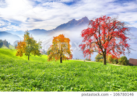 Gorgeous autumn view on suburb of Stansstad city and Lucerne lake with mountaines and fog Gorgeous autumn view on suburb of Stansstad city and Lucerne lake with mountaines and fog 106780146