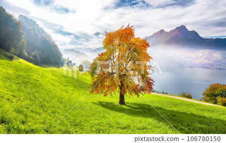 Gorgeous autumn view on suburb of Stansstad city and Lucerne lake with mountaines and fog 106780150