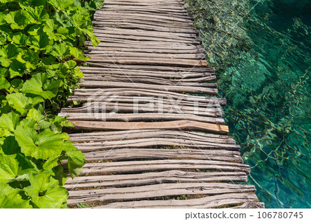 Wooden path and lake 106780745