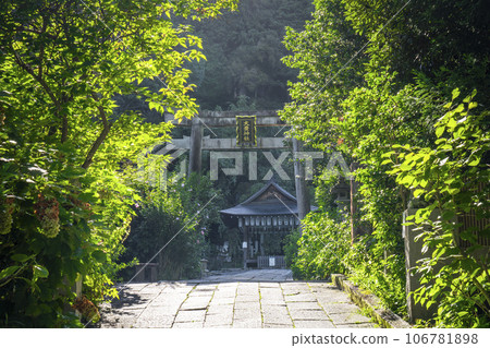 Kyoto Philosopher's Path Otoyo Shrine Approach Kyoto Philosopher's Path Otoyo Shrine Approach 106781898