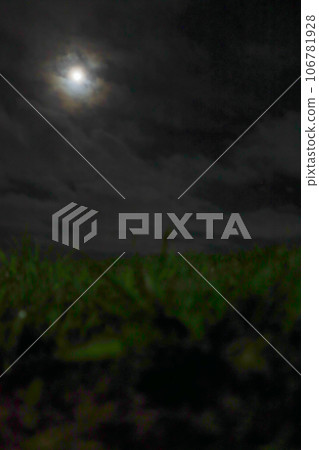Supermoon lights up the summer night sky 106781928