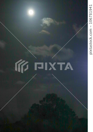 Supermoon lights up the summer night sky 106781941