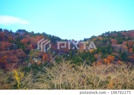 Tateishi Temple Yamadera Autumn Leaves Yellow Leaves Tateishi Temple Yamadera Autumn Leaves Yellow Leaves 106782275