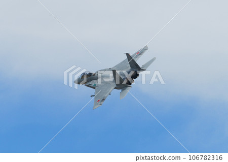 Air Self-Defense Force 303rd Squadron F-15DJ Eagle turning Air Self-Defense Force 303rd Squadron F-15DJ Eagle turning 106782316